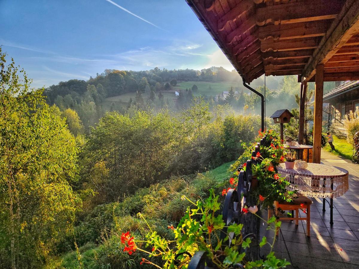 Czarna Owca Bed and Breakfast Istebna Exteriör bild