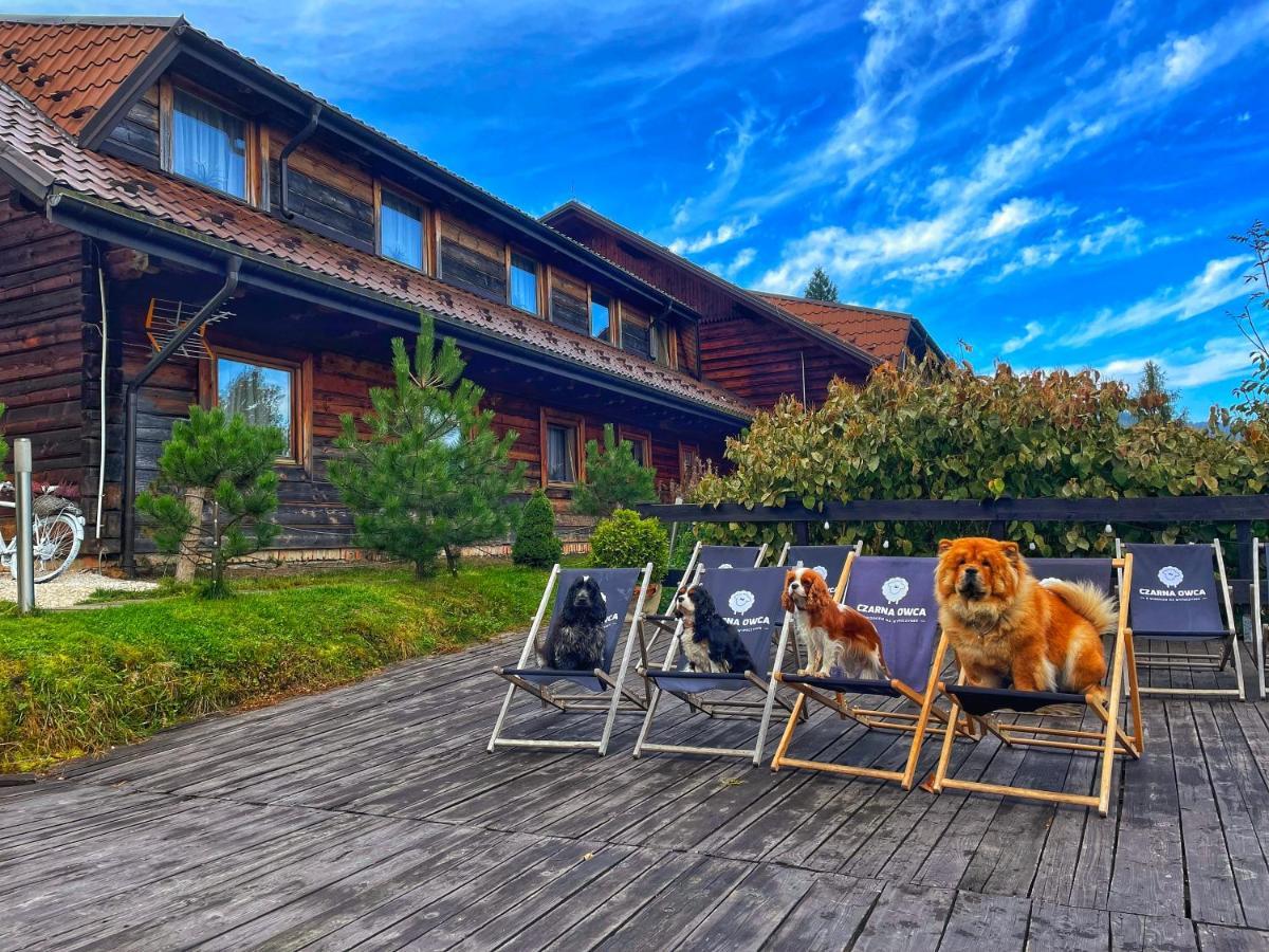 Czarna Owca Bed and Breakfast Istebna Exteriör bild