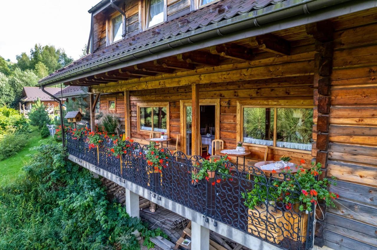 Czarna Owca Bed and Breakfast Istebna Exteriör bild